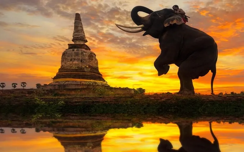 Thailand Tours
